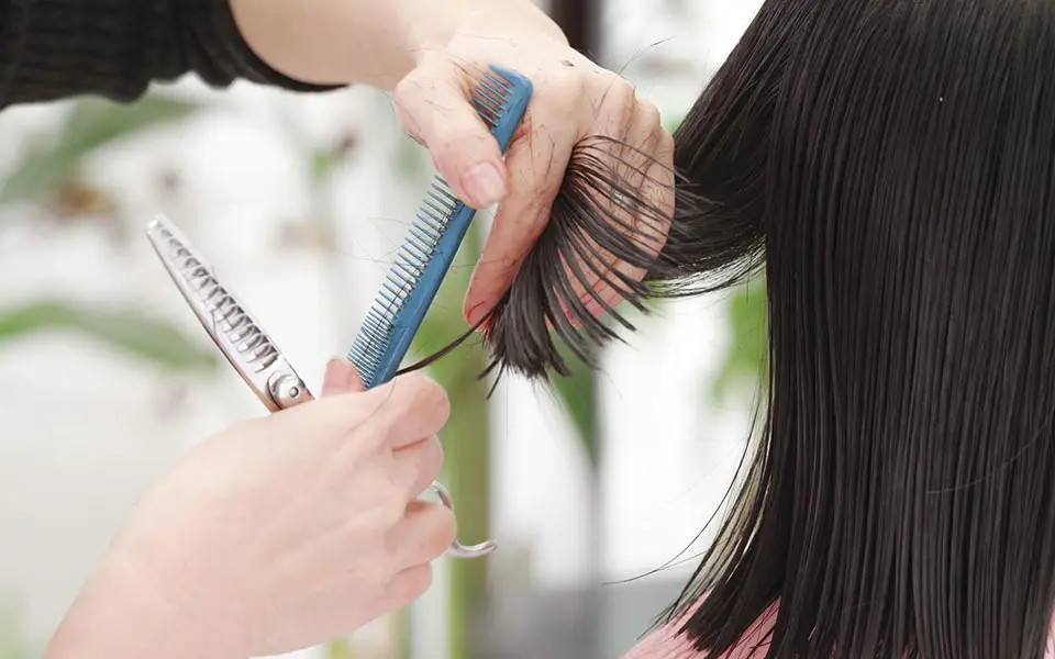 カットイメージ