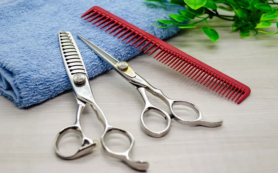 ハサミイメージ